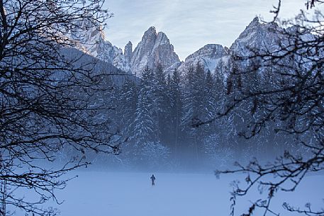 Cross country skier under a thick winter fog with the Croda dei Toni on background, Dolomites of Sesto natural park, Italy