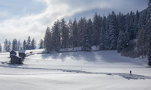 Ski cross immersed in the Sesto snowy landscape, Pusteria valley, Italy Ski cross immersed in the Sesto snowy landscape, Pusteria valley, Italy