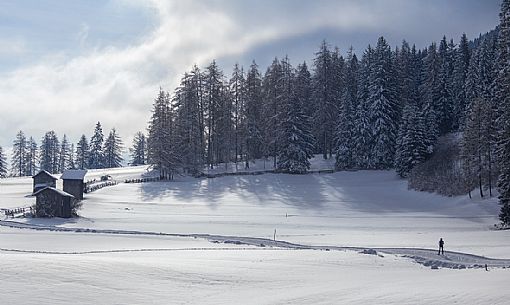 Ski cross immersed in the Sesto snowy landscape, Pusteria valley, Italy