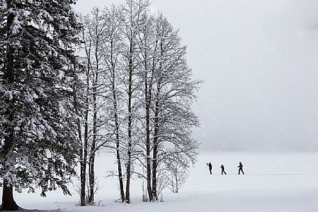 Cross country skiing on the Anterselva lake under an intensive snowfall, Pusteria Valley, Italy Cross country skiing on the Anterselva lake under an intensive snowfall, Pusteria Valley, Italy