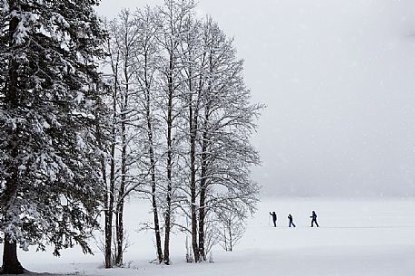 Cross country skiing on the Anterselva lake under an intensive snowfall, Pusteria Valley, Italy