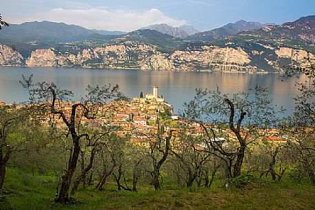 View from the top of the small medieval village of Malcesine with its dense olive groves and the Scaligero castle overlooking Garda lake, Italy