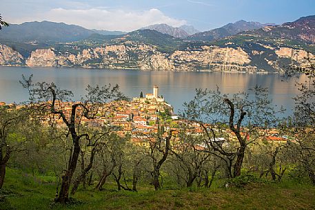 View from the top of the small medieval village of Malcesine with its dense olive groves and the Scaligero castle overlooking Garda lake, Italy View from the top of the small medieval village of Malcesine with its dense olive groves and the Scaligero castle overlooking Garda lake, Italy