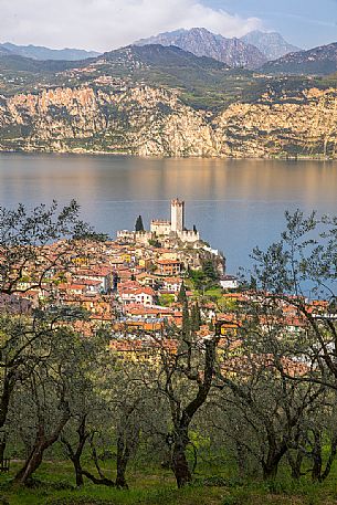 View from the top of the small medieval village of Malcesine with its dense olive groves and the Scaligero castle overlooking Garda lake, Italy