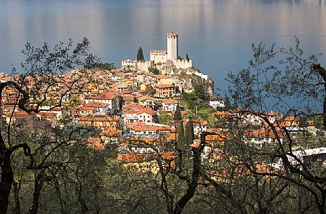 View from the top of the small medieval village of Malcesine with its dense olive groves and the Scaligero castle overlooking Garda lake, Italy