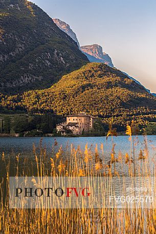 Cane thickets along the shores of Lake Toblino and Toblino Castle illuminated at sunset, Valley of Lakes, Trentino, Italy
