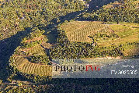 View from above the territory of the Valley of Lakes, Valle dei Laghi, rich in vegetation and vineyards, Trentino, Italy