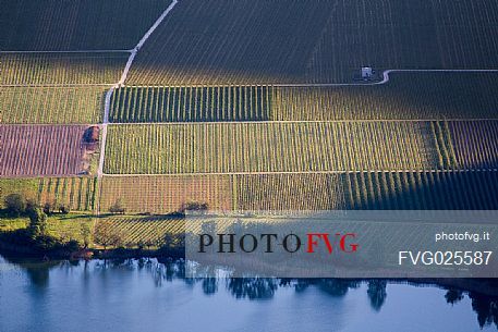 View from above of the vineyards along the banks of Tabling Lakes, lago di Toblino, Valley of Lakes, Valle dei Laghi, Trentino, Italy
