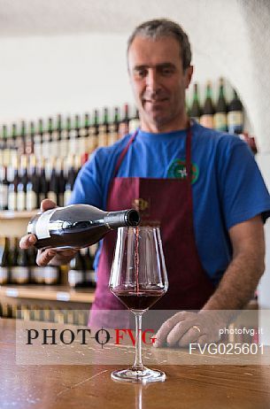 Stefano of the farm Pisoni pours Vino Santo into his wine Cellar Sarica in Pergolese, Valley of Lakes, Valle dei Laghi, Trentino, Italy Stefano of the farm Pisoni pours Vino Santo into his wine Cellar Sarica in Pergolese, Valley of Lakes, Valle dei Laghi, Trentino, Italy
