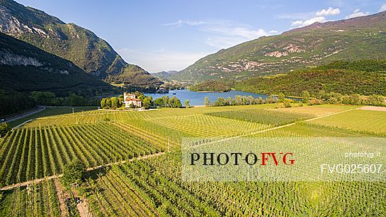 Lake Toblino and the stretches of vineyards that surround it from above, Valley of the Lakes, Valle dei laghi, Trentino, Italy