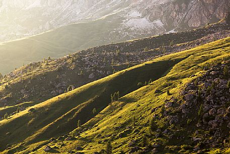 Golden hour of sunset on the meadows of Giau Pass, dolomites, Italy