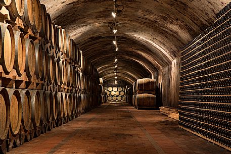 The historic aging cellar of Castello di Spessa in Capriva del Friuli, Friuli Venezia Giulia, Italy