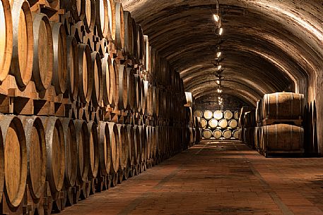 The historic aging cellar of Castello di Spessa in Capriva del Friuli, Friuli Venezia Giulia, Italy The historic aging cellar of Castello di Spessa in Capriva del Friuli, Friuli Venezia Giulia, Italy