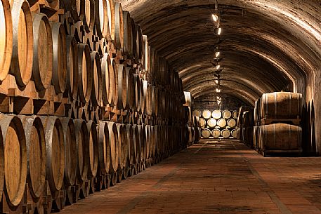 The historic aging cellar of Castello di Spessa in Capriva del Friuli, Friuli Venezia Giulia, Italy