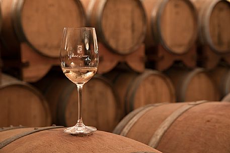 Glass of Ribolla gialla of the historic aging cellar of Castello di Spessa in Capriva del Friuli, Friuli Venezia Giulia, Italy