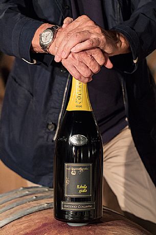 The hand of Manlio Collavini on a bottle of Ribolla gialla of the wine-growing company of Eugenio Collavini Viticoltori in Corno di Rosazzo, Friuli Venezia Giulia, Italy