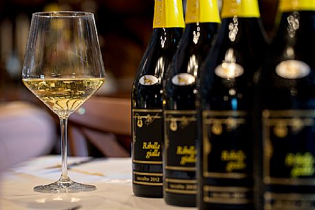 Glass and bottle of Ribolla Gialla of the wine-growing company Eugenio Collavini in Corno di Rosazzo, Friuli Venezia Giulia, Italy