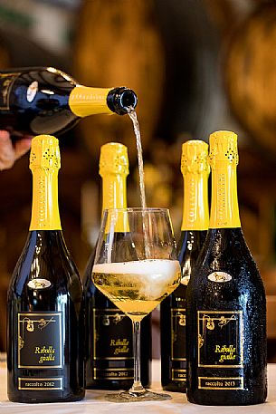 Glass and bottle of Ribolla Gialla spumantizzata of the wine-growing company Eugenio Collavini in Corno di Rosazzo, Friuli Venezia Giulia, Italy Glass and bottle of Ribolla Gialla spumantizzata of the wine-growing company Eugenio Collavini in Corno di Rosazzo, Friuli Venezia Giulia, Italy