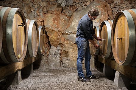 Wine cellar excavated in the Carso rock of the farmhouse Bajta Fattoria Carsica of Trieste with the owner Nevo Skerjl , Friuli Venezia Giulia, Italy
