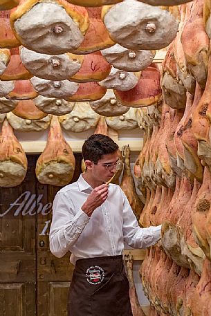 Marco Alberti checking the ham, La Casa del Prosciutto , the historic ham company of the Alberti family in San Daniele del Friuli, Friuli Venezia Giulia, Italy