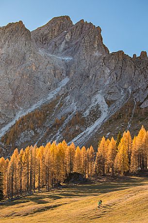 Hikers in the field of Croda Rossa during an autumn morning, Sesto, Pusteria Valley, Trentino Alto Adige, Italy