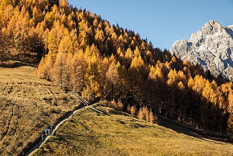 Hiking in the field of Croda Rossa during an autumn morning, Sesto, Pusteria Valley, Trentino Alto Adige, Italy