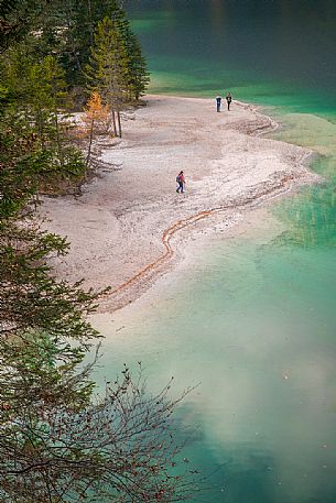 The emerald water of the alpine lake Tovel from above, Trento, Trentino Alto Adige