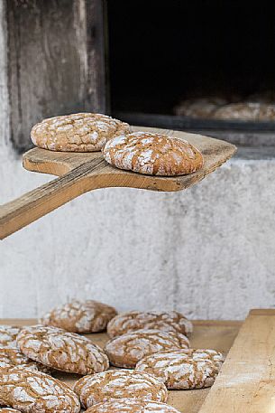 Traditional baking bread during the bread and strudel festival in Duomo square, Bressanone, Isarco valley, Alto Adige, Italy, Europe Traditional baking bread during the bread and strudel festival in Duomo square, Bressanone, Isarco valley, Alto Adige, Italy, Europe