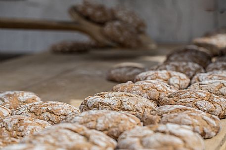 Freshly baked rye bread during the bread and strudel festival in Duomo square in Bressanone, Alto Adige, Italy, Europe