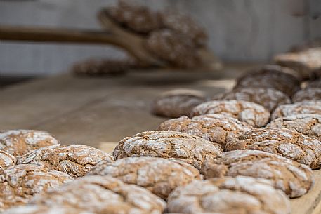 Freshly baked rye bread during the bread and strudel festival in Duomo square in Bressanone, Alto Adige, Italy, Europe Freshly baked rye bread during the bread and strudel festival in Duomo square in Bressanone, Alto Adige, Italy, Europe