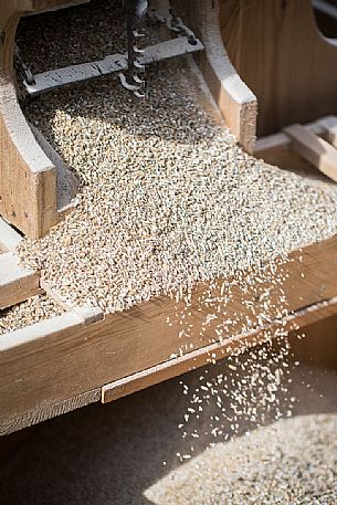 Grain sieve at the traditional festival of bread and strudel in Bressanone, Isarco valley, Trentino Alto Adige, Italy, Europe