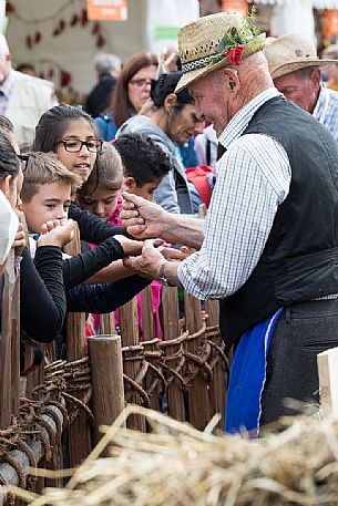 The farmer distributes wheat to the children during the traditional festival of bread and strudel in Bressanone, Isarco valley, Trentino Alto Adige, Italy, Europe