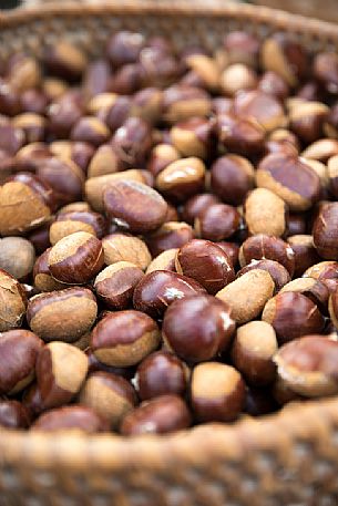 Basket of chestnuts at the Chestnut Festival, Torgellen in Chiusa, Valle Isarco, Trenino Alto Adige, Italy, Europe