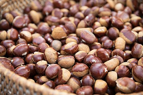 Basket of chestnuts at the Chestnut Festival, Torgellen in Chiusa, Valle Isarco, Trenino Alto Adige, Italy, Europe Basket of chestnuts at the Chestnut Festival, Torgellen in Chiusa, Valle Isarco, Trenino Alto Adige, Italy, Europe