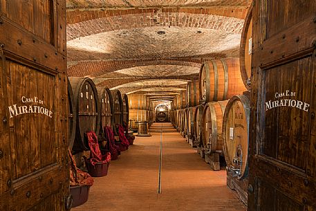The historic wine cellar of Casa E. di Mirafiore e Fontanafredda in Serralunga d'Alba, Langhe, Piedmont, Italy, Europe The historic wine cellar of Casa E. di Mirafiore e Fontanafredda in Serralunga d'Alba, Langhe, Piedmont, Italy, Europe