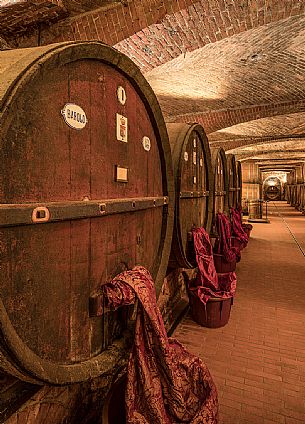 Detail of historic wine cellar of Casa E. di Mirafiore e Fontanafredda in Serralunga d'Alba, Langhe, Piedmont, Italy, Europe