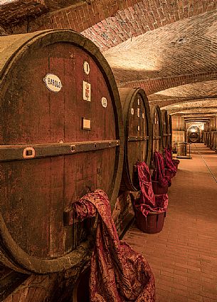 Detail of historic wine cellar of Casa E. di Mirafiore e Fontanafredda in Serralunga d'Alba, Langhe, Piedmont, Italy, Europe Detail of historic wine cellar of Casa E. di Mirafiore e Fontanafredda in Serralunga d'Alba, Langhe, Piedmont, Italy, Europe