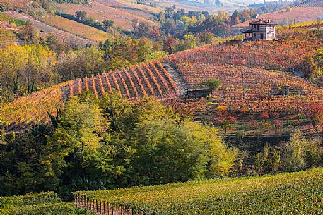Autumnal landscape of the Langhe region, Unesco World Heritage, Piedmont, Italy, Europe