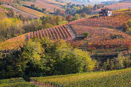 Autumnal landscape of the Langhe region, Unesco World Heritage, Piedmont, Italy, Europe Autumnal landscape of the Langhe region, Unesco World Heritage, Piedmont, Italy, Europe