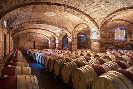 The historic winery Ceretto - Tenuta Monsordo Bernardina in Alba village, Langhe, Unesco world heritage, Piedmont, Italy, Europe