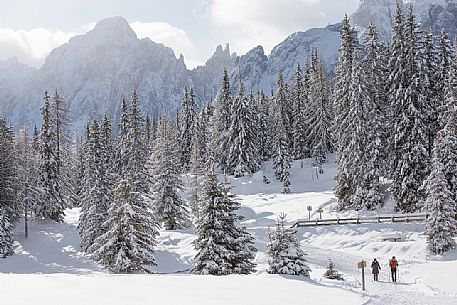 Hikers in the path leading to the Nemes hut, in the background the peaks of the Comelico Superiore, Sesto, Pusteria valley, Trentino Alto Adige, Italy, Europe