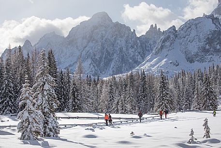 Hikers in the path leading to the Nemes, on background the peaks of the Comelico Superiore, Sesto, Pusteria valley, Trentino Alto Adige, Italy, Europe
