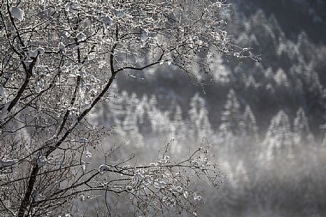 Winter atmosphere on the Dobbiaco lake, Pusteria valley, dolomites, Trentino Alto Adige, Italy