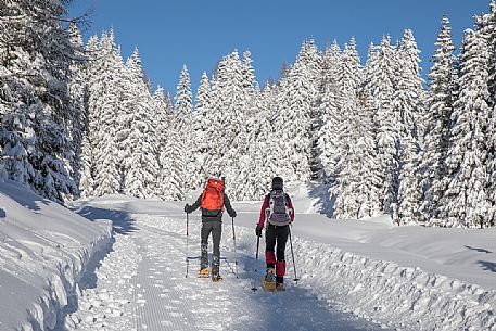 Two hikers with snowshoes along the path leading to the Nemes alp, Sesto, Pusteria valley, Trentino Alto Adige, Italy, Europe
