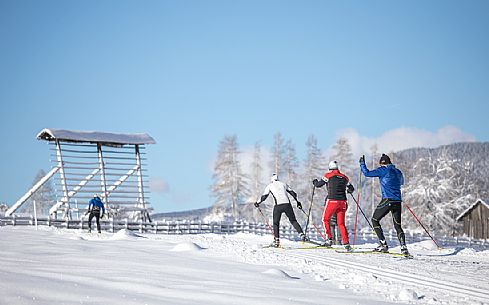 Cross country skiing around the village of Sesto, dolomites, Pusteria valley, Trentino Alto Adige, Italy, Europe Cross country skiing around the village of Sesto, dolomites, Pusteria valley, Trentino Alto Adige, Italy, Europe