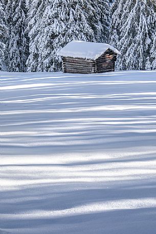 Games of lights and shadows on the snow in Campo di Dentro valley, Sesto, dolomites, Pusteria valley, Trentino Alto Adige, Italy