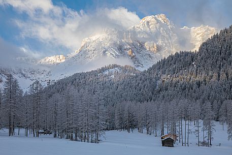 Fiscalina valley after an intense snowfall, Sesto, Pusteria valley, Trentino Alto Adige, Italy, Europe