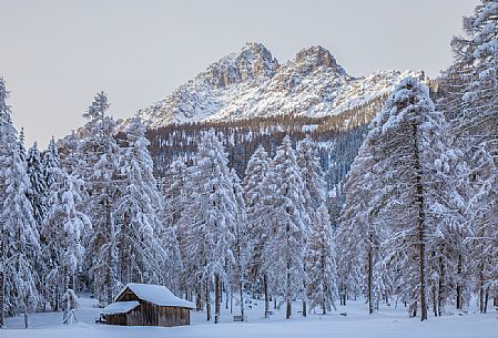 Traditional barn in the Campo di Dentro valley after an intensive snowfall, Sesto, Pusteria valley, Trentino Alto Adige, Italy, Europe