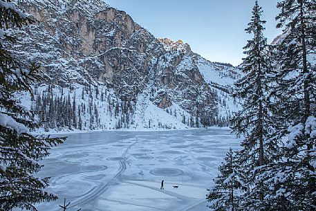 A tourist with his dog walk on the frozen lake of Braies, Braies, Pusteria valley, Trentino Alto Adige, Italy