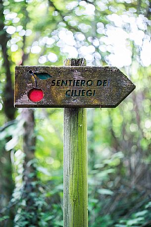 Road sign of Sentiero dei Ciliegi, a path between the cherry trees near Marostica, Vicenza, Veneto, Italy Road sign of Sentiero dei Ciliegi, a path between the cherry trees near Marostica, Vicenza, Veneto, Italy